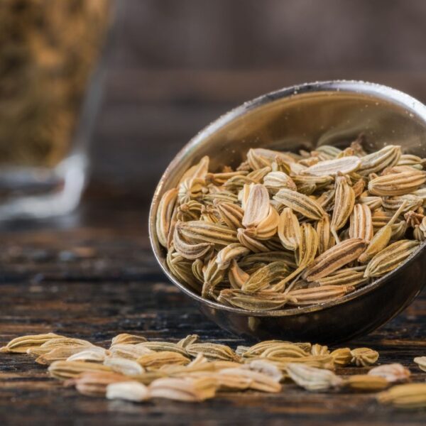 Fennel Seeds