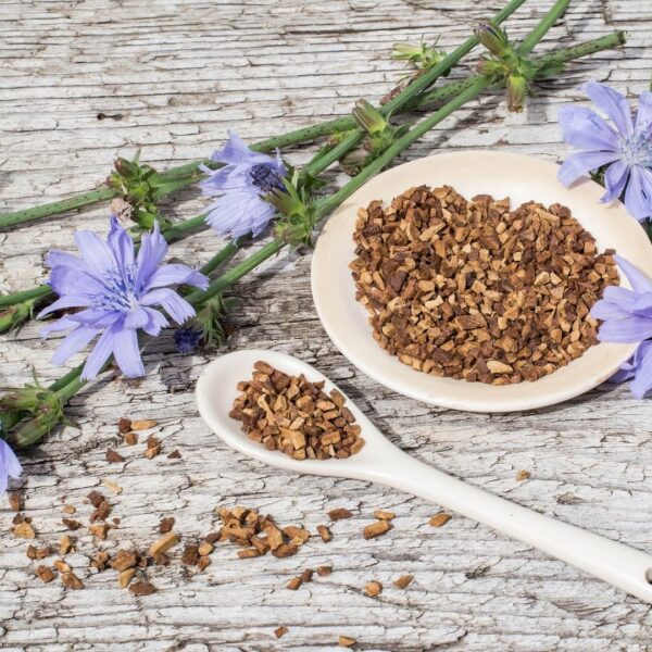 Chicory Root