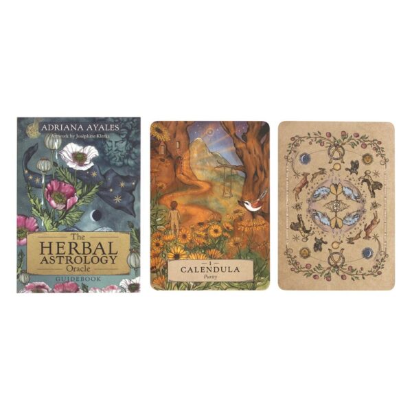 The Herbal Astrology Oracle Cards - Image 2