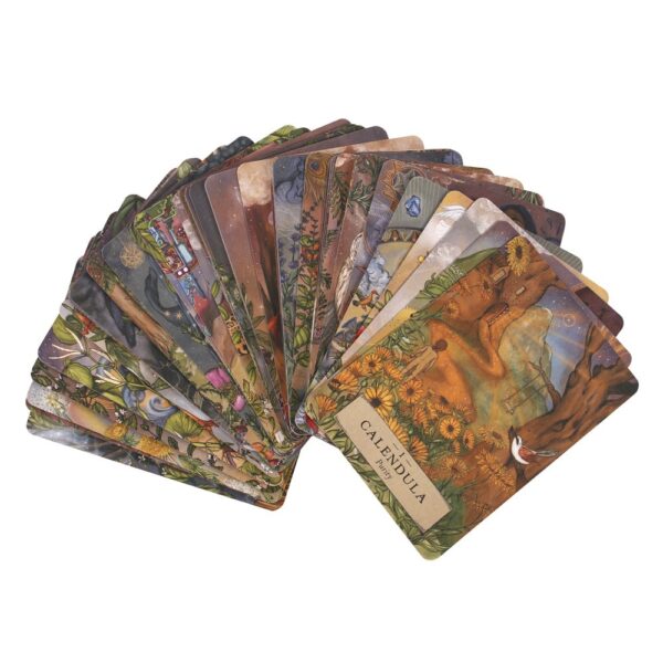 The Herbal Astrology Oracle Cards - Image 3