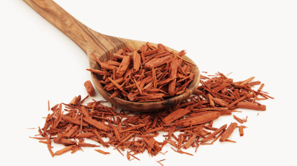 Red Sandalwood Chippings 30gm